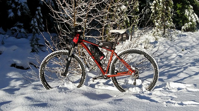 kolo ve sněhu